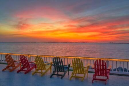 The Hemingway Subtropical Luxury On The Tampa Bay Exterior foto